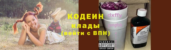 крисы Надым