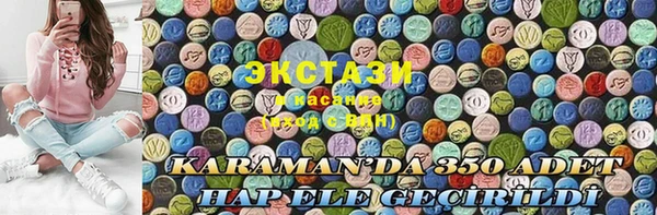 крисы Надым