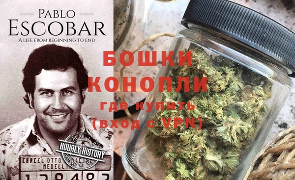 крисы Надым