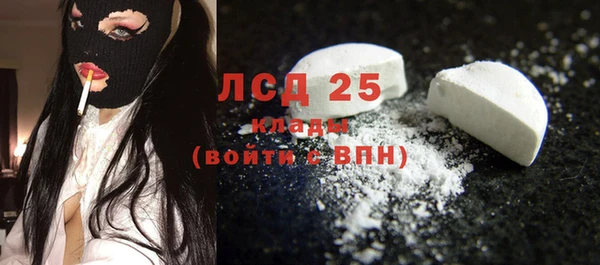 крисы Надым