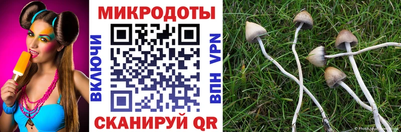 хочу   Россошь  Псилоцибиновые грибы мухоморы 