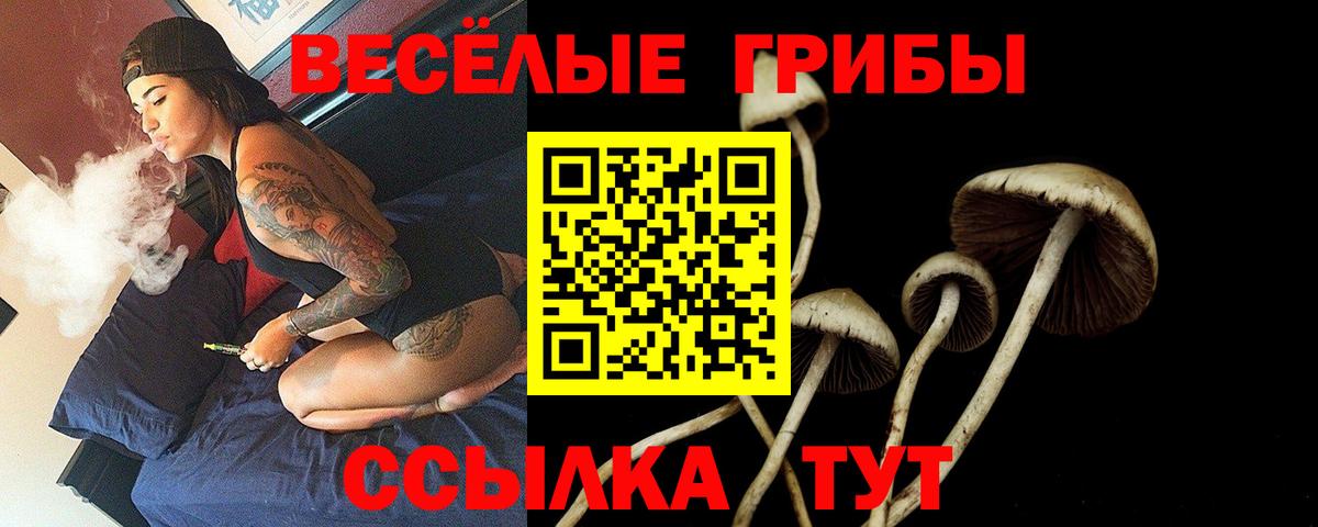 Галлюциногенные грибы прущие грибы Россошь